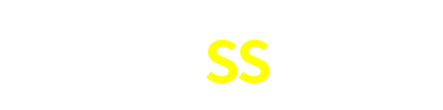 3SS